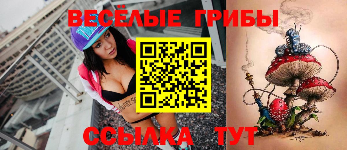 Псилоцибиновые грибы прущие грибы Лыткарино