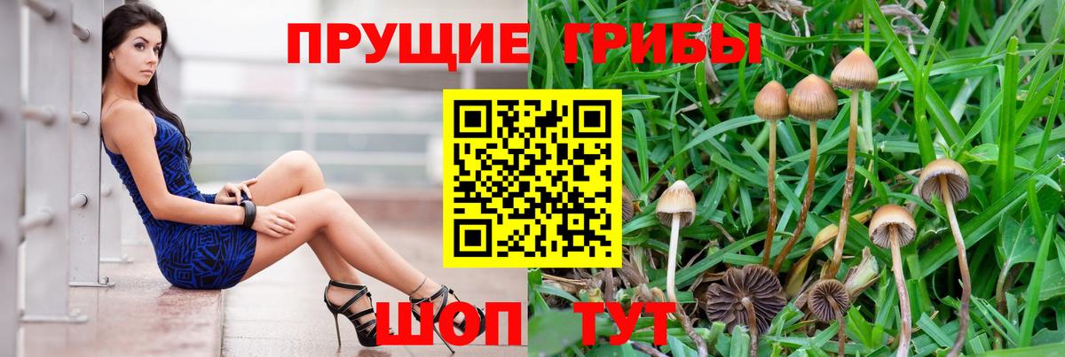Галлюциногенные грибы Cubensis  Вход с VPN  Лыткарино 